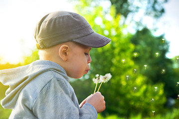 Image showing Cute child blowing dandelion