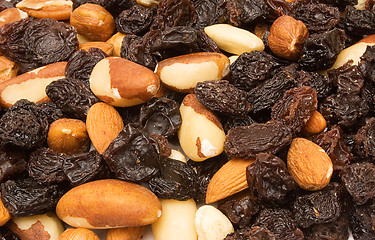 Image showing Textures – Trail Mix
