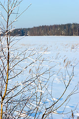 Image showing Winter landscape