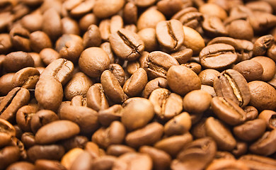 Image showing Textures – Coffee Beans (Close Front View)