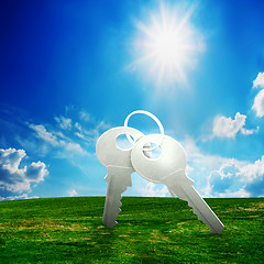 Image showing Key on green field. New house, future