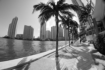 Image showing Detail of Chopin Plaza, Miami