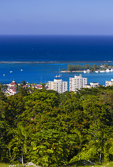 Image showing Vegetation in Ocho Rios