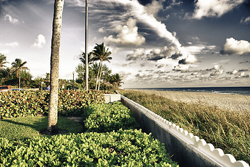 Image showing Colors of Miami in Florida