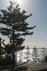 Image showing Gold Coast, Australia