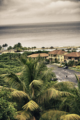 Image showing Vegetation and Nature of Honduras