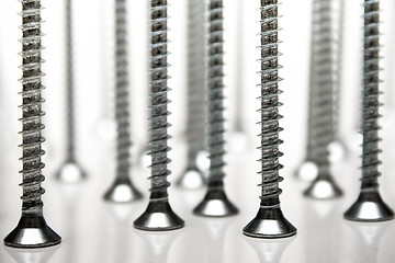 Image showing Standing Screws