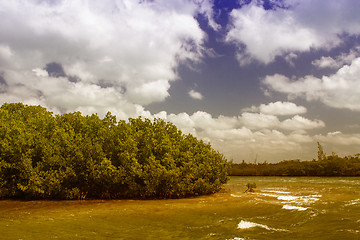 Image showing Sea Colors of Grand Cayman Island