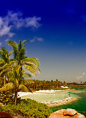 Image showing Colors of Nassau, Bahamas