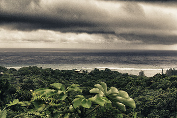 Image showing Vegetation and Nature of Honduras