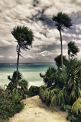 Image showing Famous archaeological ruins of Tulum in Mexico