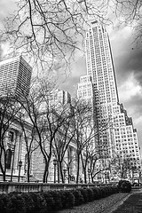 Image showing New York Public Library and Surrounding Skyscrapers