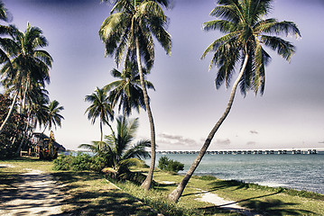 Image showing Detail of Keys Islands in Florida