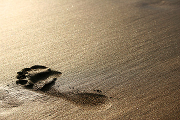 Image showing Sand Footprint