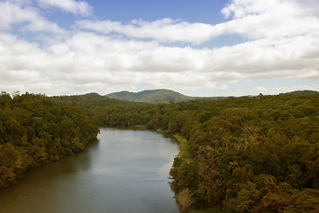 Image showing Rain Forest on the road to Kuranda