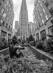 Image showing Upward view of New York City Skyscrapers