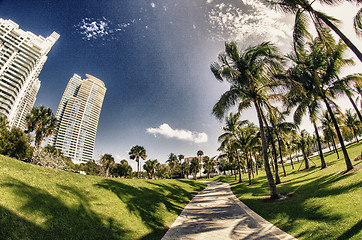 Image showing Walkway in a beautiful Park