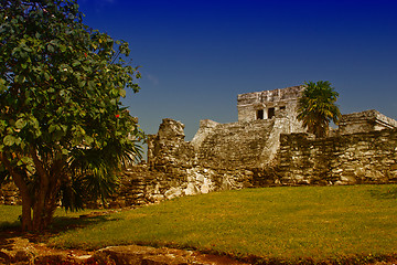 Image showing Famous archaeological ruins of Tulum in Mexico