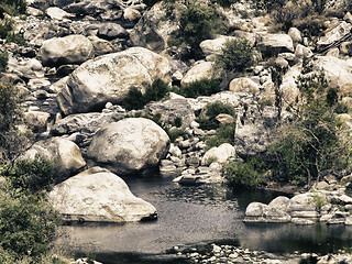 Image showing Sequoia National Park, U.S.A.