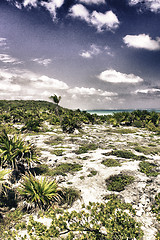 Image showing Sea Colors near Maya Ruins in Tulum, Yucatan