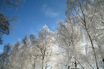 Image showing winter in denmark