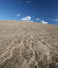 Image showing dry