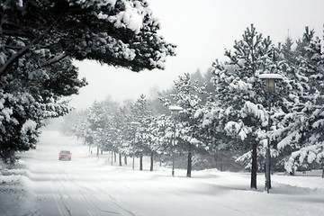Image showing snowy winter