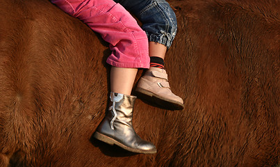 Image showing children and horse