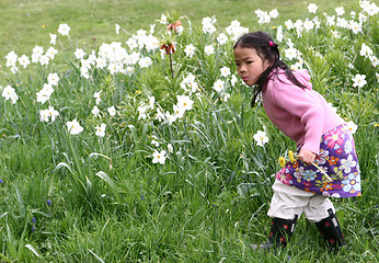 Image showing child flower