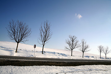 Image showing winter in denmark