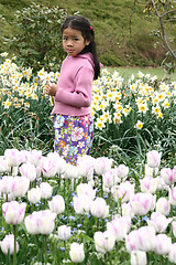 Image showing child flower