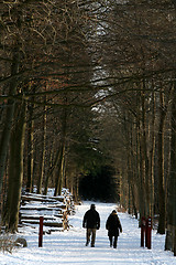 Image showing winter in denmark