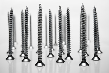 Image showing Standing Screws