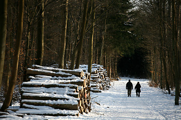 Image showing winter in denmark