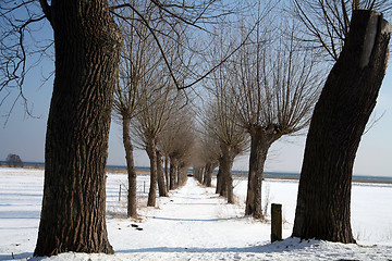 Image showing snowy winter