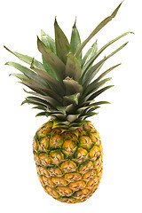Image showing Pineapple w/ Path (Top View)