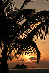 Image showing maldives islands