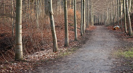 Image showing alley