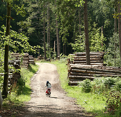 Image showing children in he forest