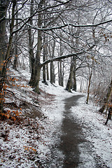 Image showing nature landscape