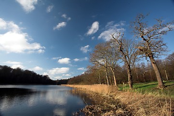 Image showing lake forest