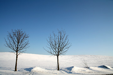 Image showing snowy winter