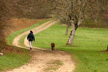 Image showing alsacian landscape01