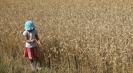 Image showing corn field girl