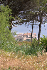 Image showing calvi