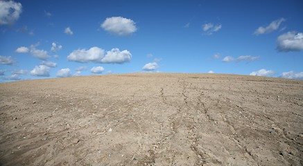 Image showing dry