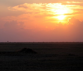 Image showing Blinding sun