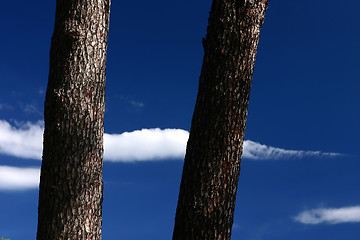 Image showing Corsican sceneries