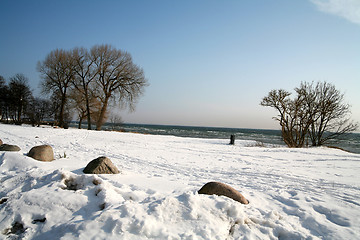 Image showing winter in denmark