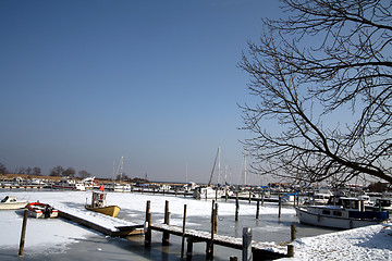 Image showing winter in denmark